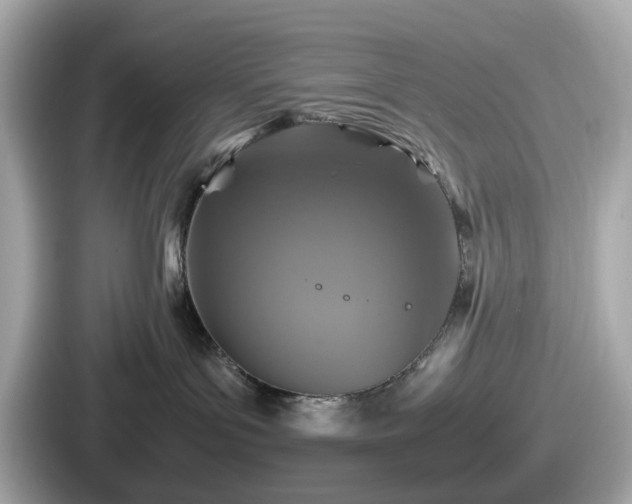 X0000087640143200705101055