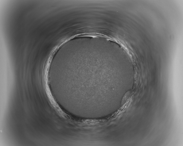 X0000087640145200705101054