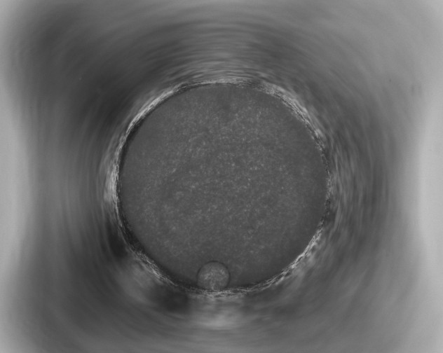 X0000087640146200705101054