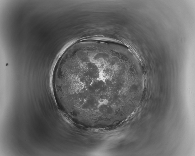 X0000087640147200705101054