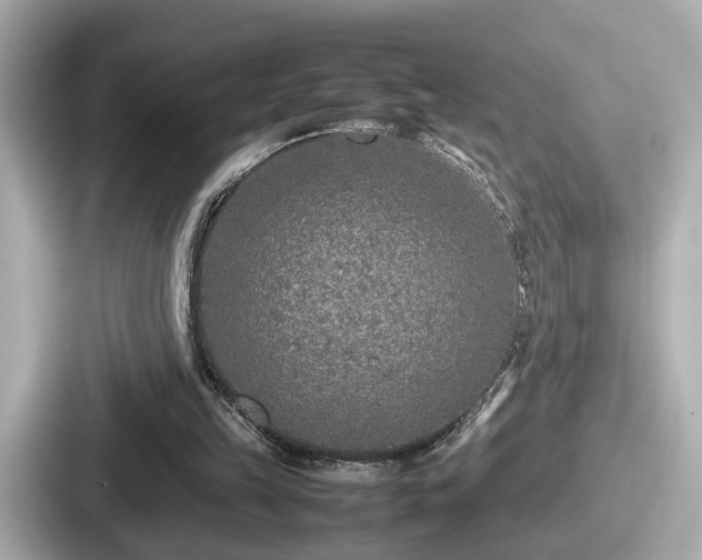 X0000087640149200705101054