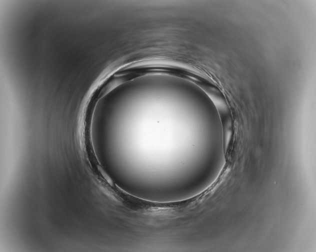 X0000087640150200705101054