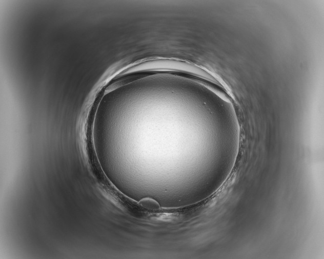 X0000087640151200705101054