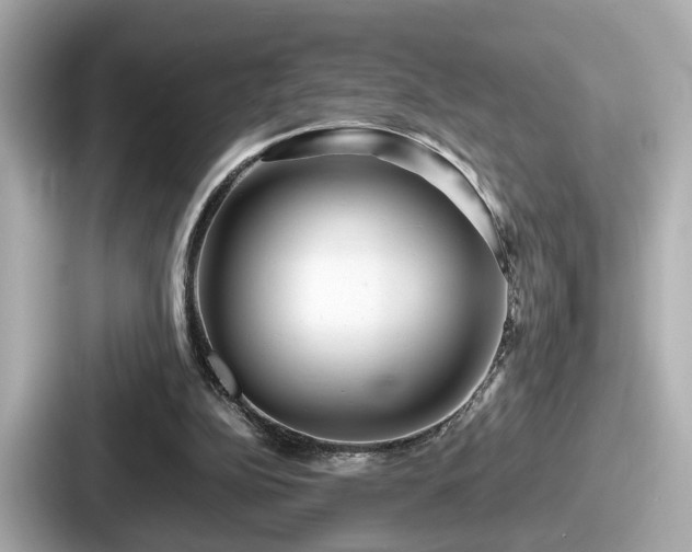 X0000087640152200705101054