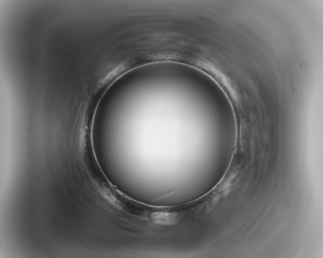 X0000087640153200705101054