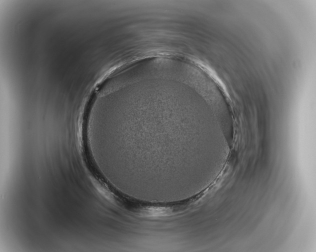 X0000087640154200705101054