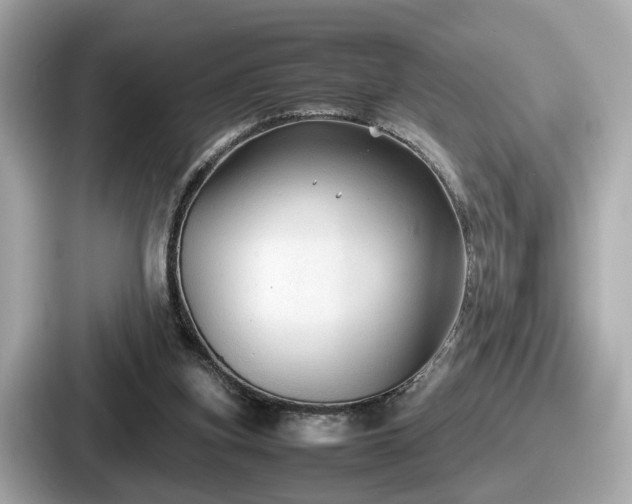 X0000087640155200705101054