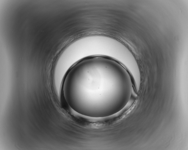 X0000087640158200705101054