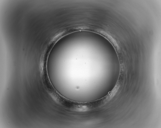 X0000087640159200705101054