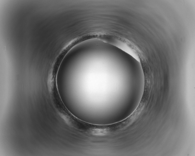 X0000087640160200705101054