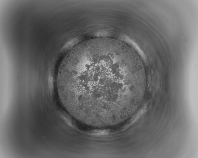 X0000087640161200705101054