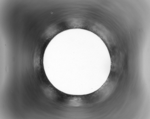 X0000087640162200705101054