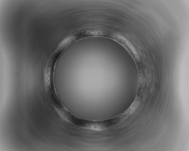 X0000087640163200705101054