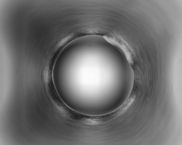 X0000087640164200705101054