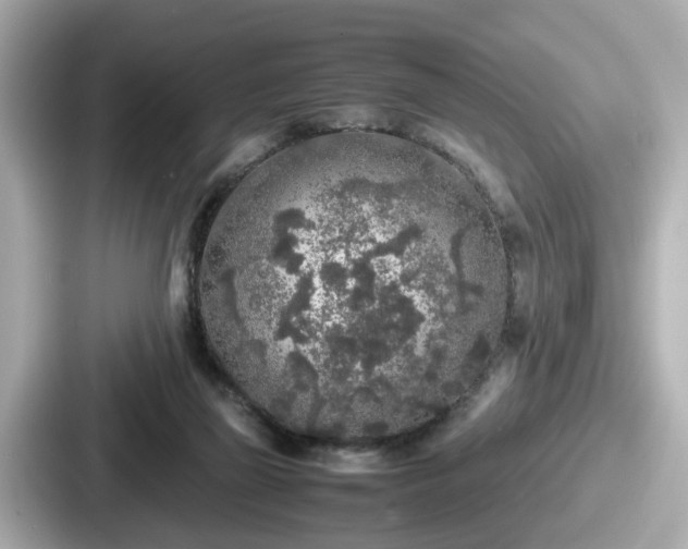 X0000087640165200705101054