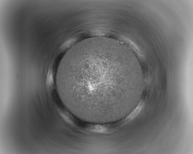 X0000087640166200705101054