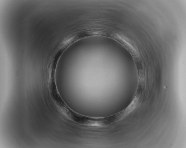 X0000087640167200705101054