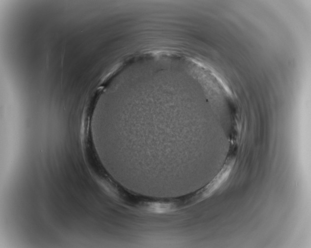 X0000087640168200705101055