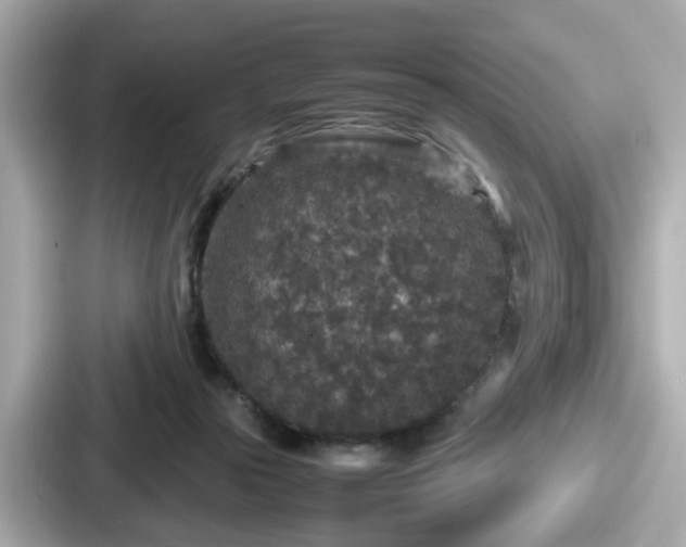 X0000087640169200705101055