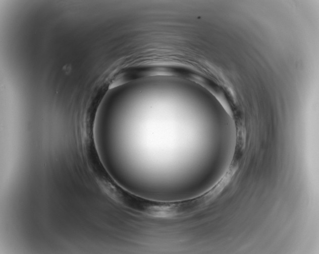 X0000087640170200705101055