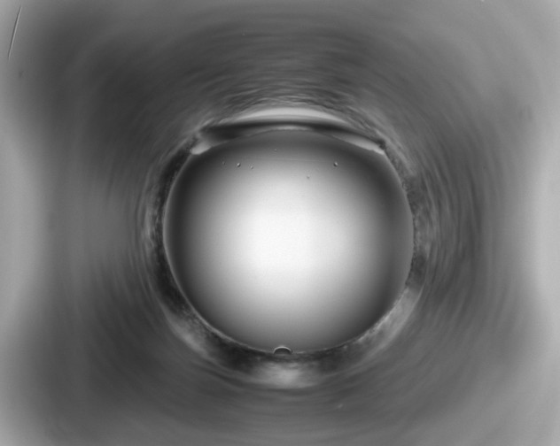 X0000087640171200705101055