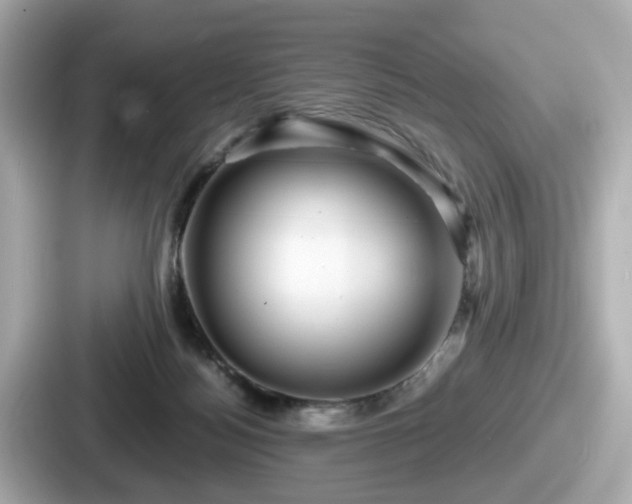 X0000087640172200705101055