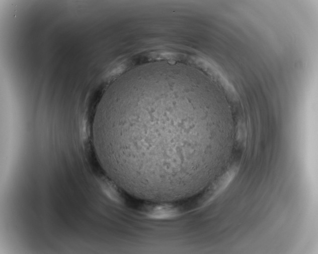 X0000087640173200705101055