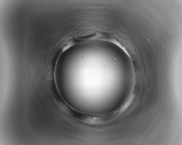 X0000087640174200705101055