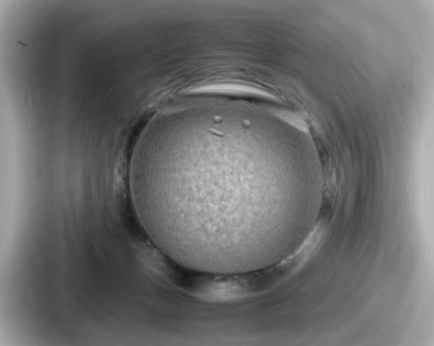 X0000087640175200705101055