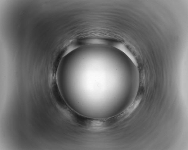 X0000087640176200705101055