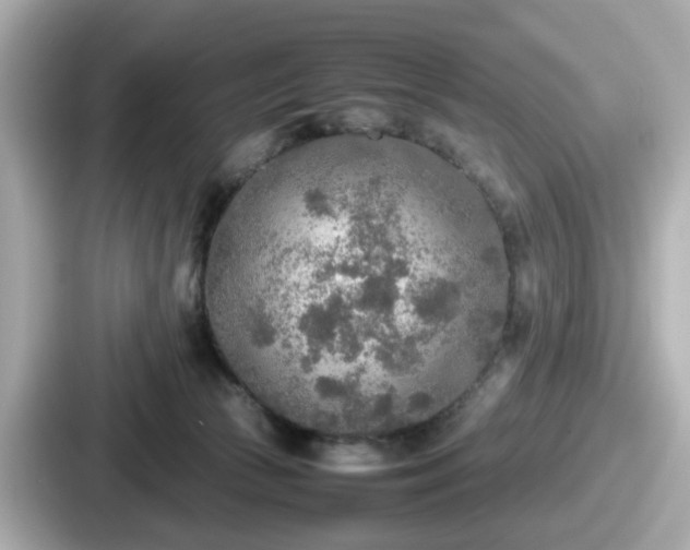 X0000087640177200705101055