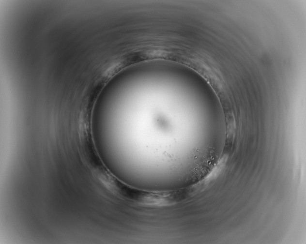 X0000087640179200705101055