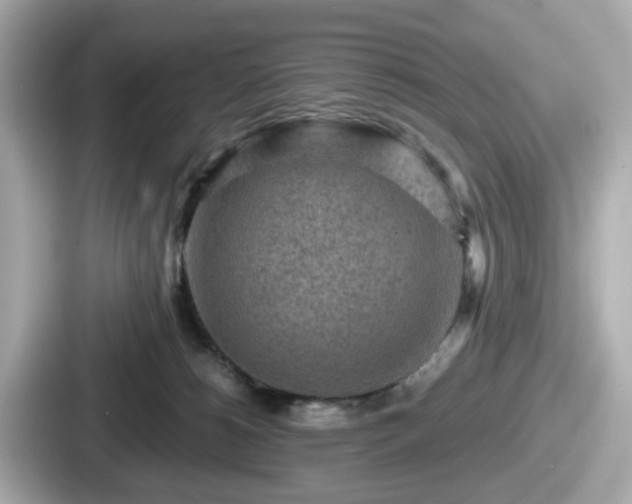 X0000087640180200705101055