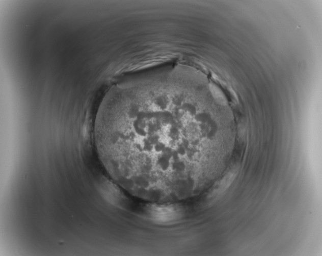 X0000087640181200705101055