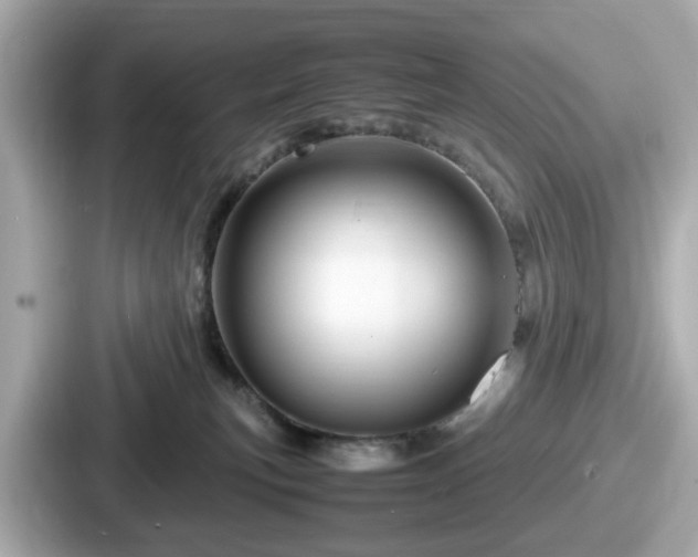 X0000087640183200705101055