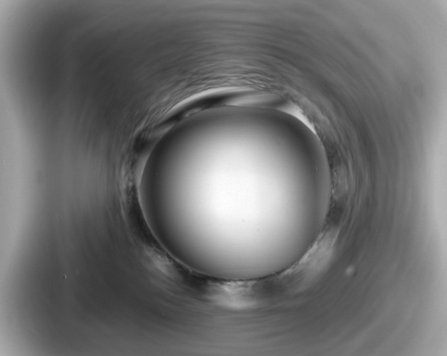 X0000087640184200705101055