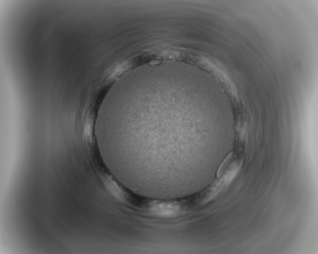 X0000087640185200705101055