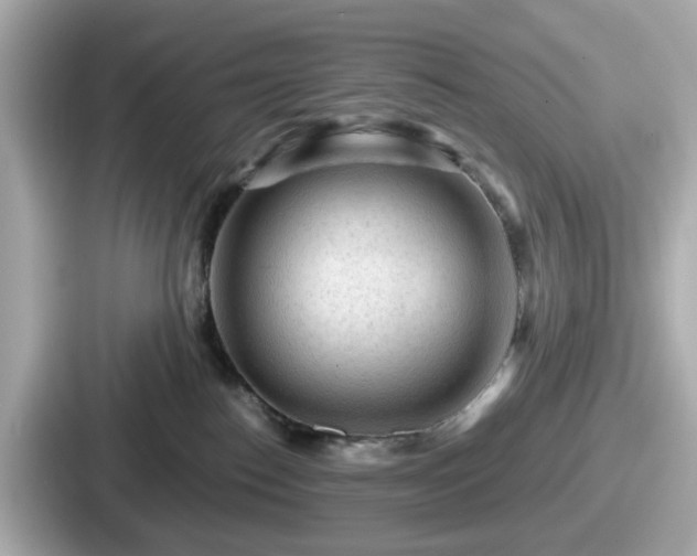 X0000087640186200705101055