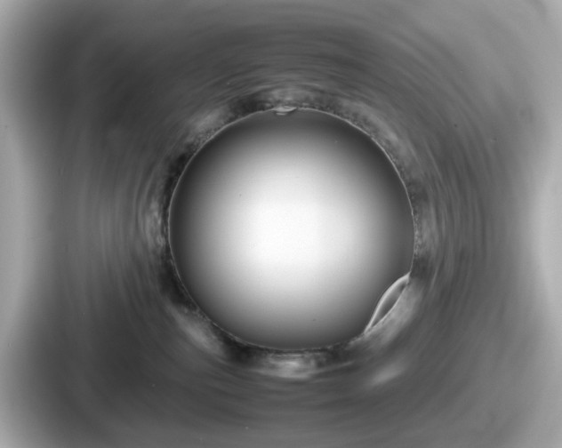 X0000087640187200705101055