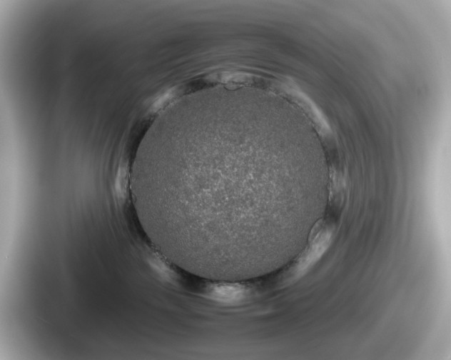 X0000087640189200705101055