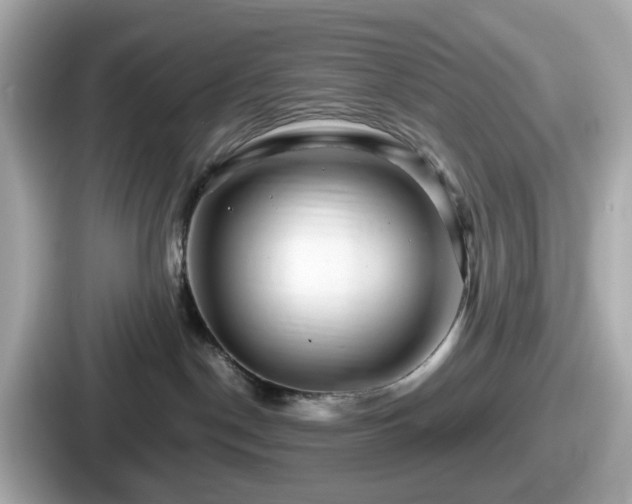 X0000087640190200705101055