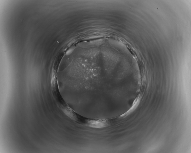 X0000087640191200705101055