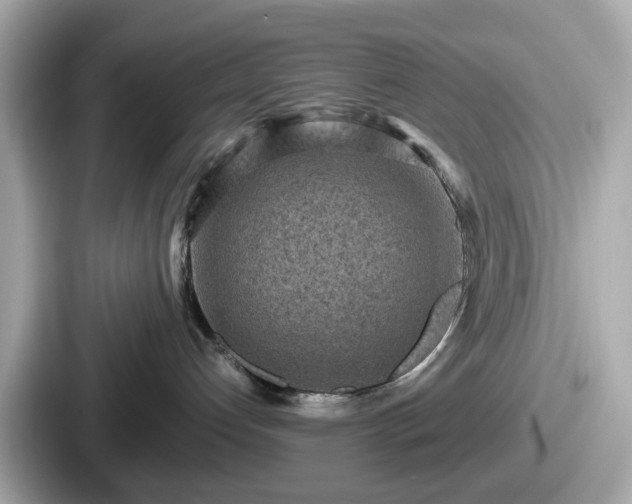 X0000087640192200705101055