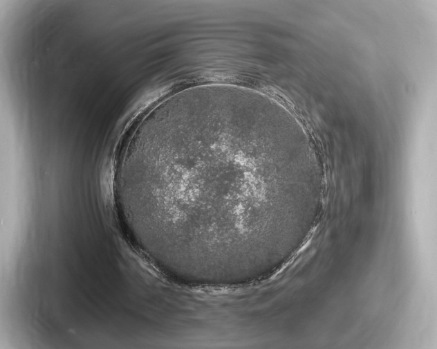 X0000087640194200705101054