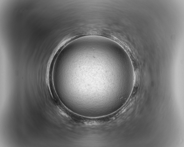 X0000087640195200705101054