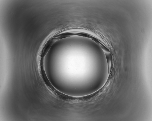 X0000087640197200705101054