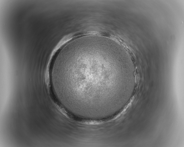 X0000087640198200705101054