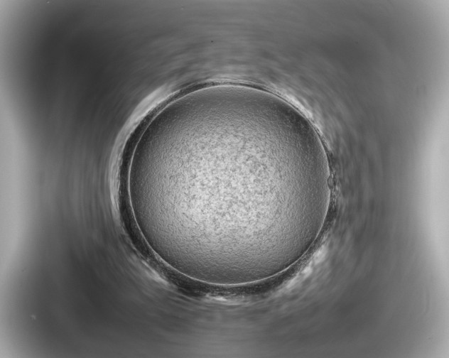 X0000087640199200705101054