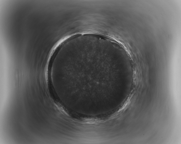 X0000087640200200705101054