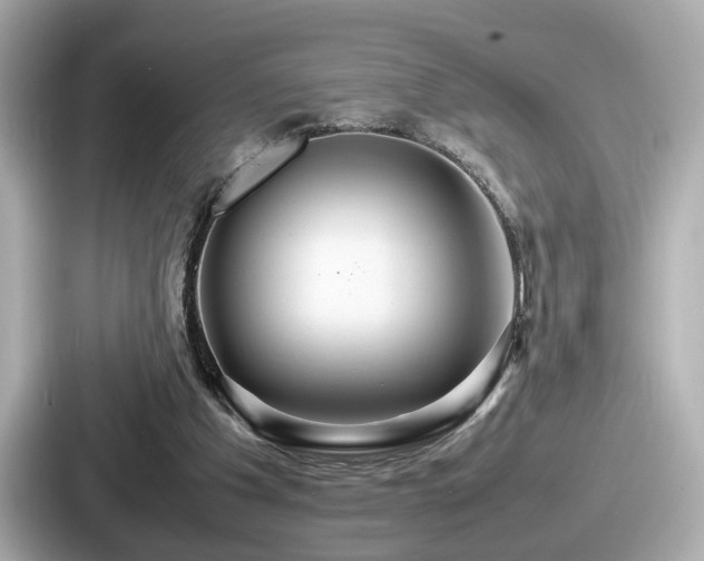 X0000087640201200705101054